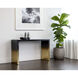 Monaro 52 X 20 inch Black / Antique Brass Console Table